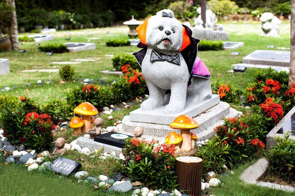 Personalised dog memorial surrounded by flowers in the garden