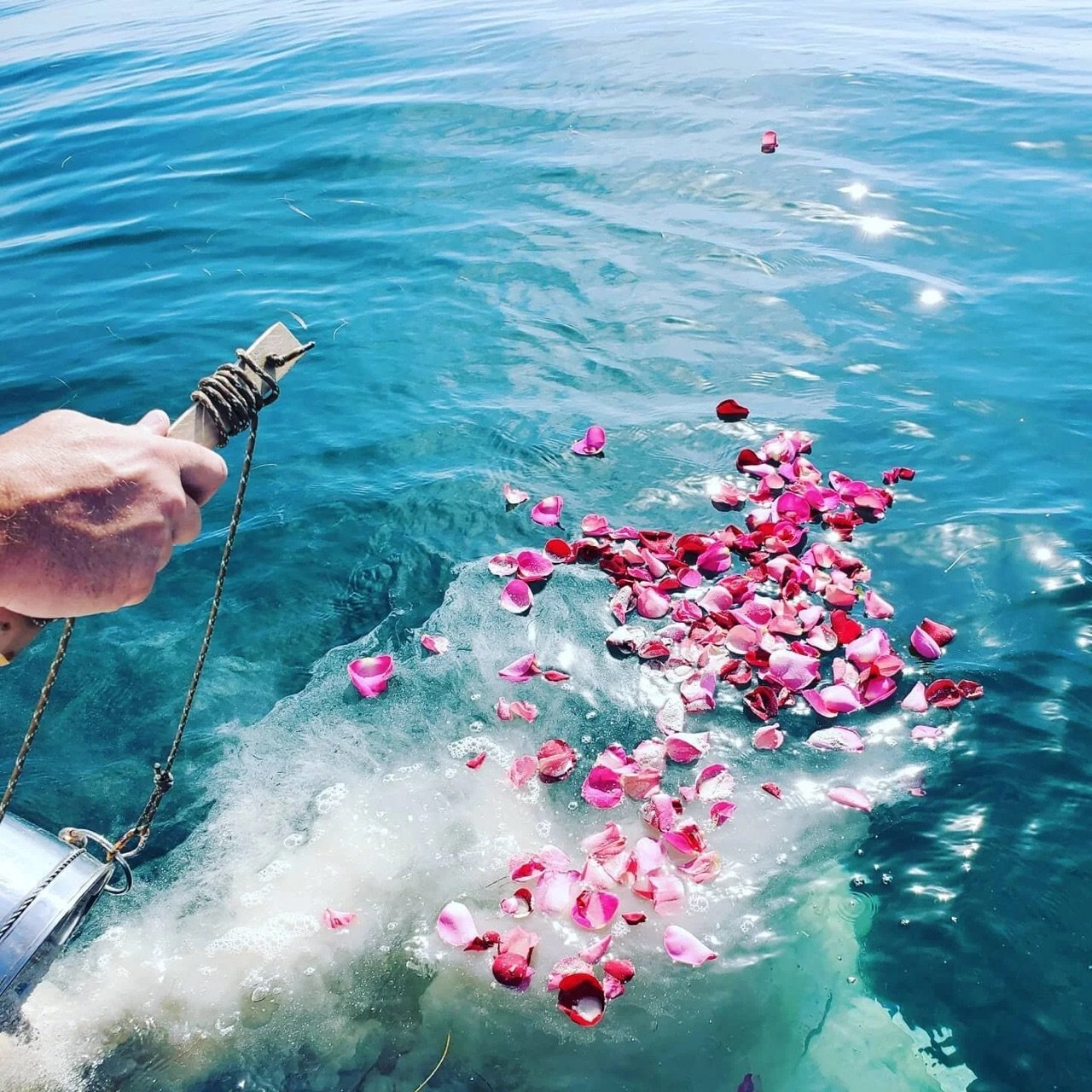 Cremated remains and rose petals being released into the sea from a boat